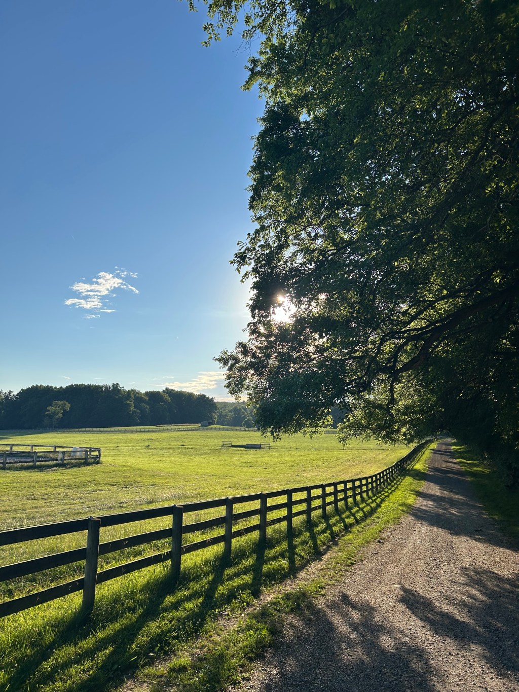 photo of fence line and grassy field with sun behind trees overhanging a gravel road